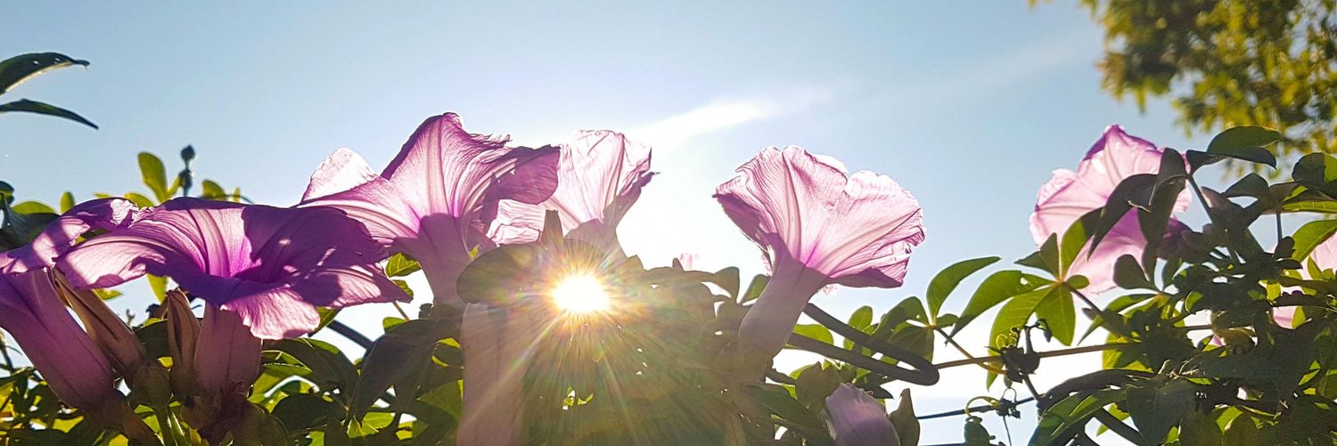 DebCandiani's profile banner image