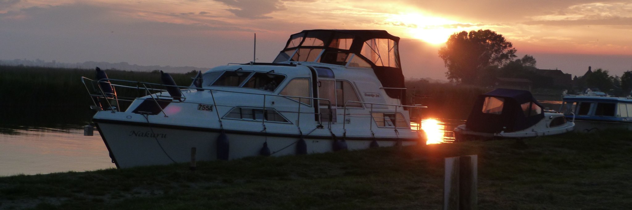 Nickii Messer #allthegeese banner