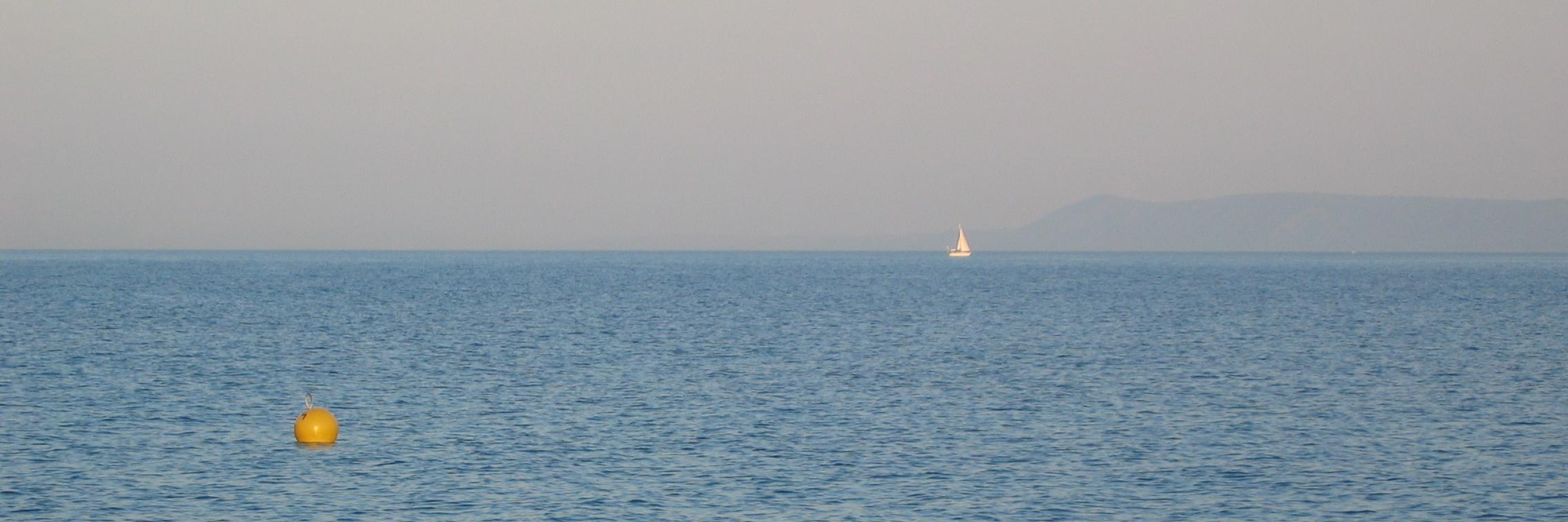 dkervina's profile banner image