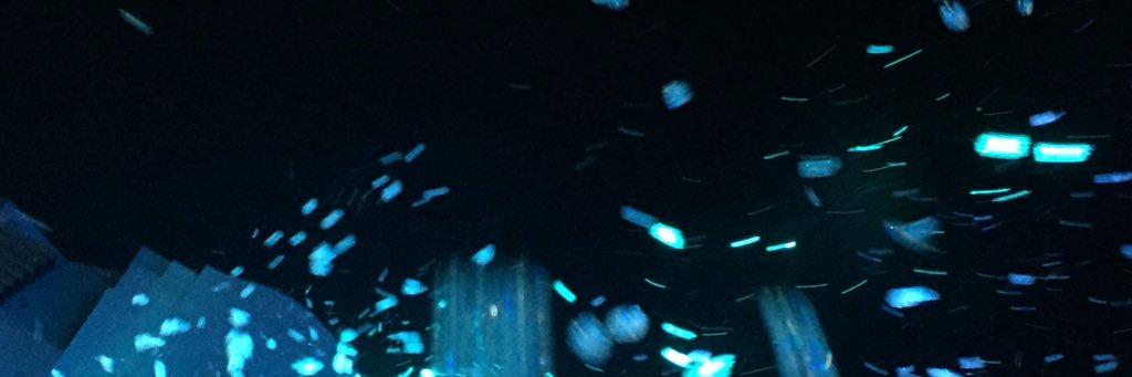 nyan_rrrr's profile banner image