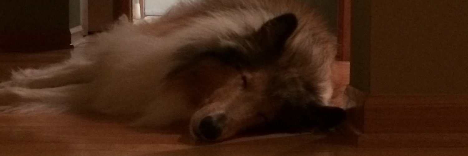salvi_johnathan's profile banner image