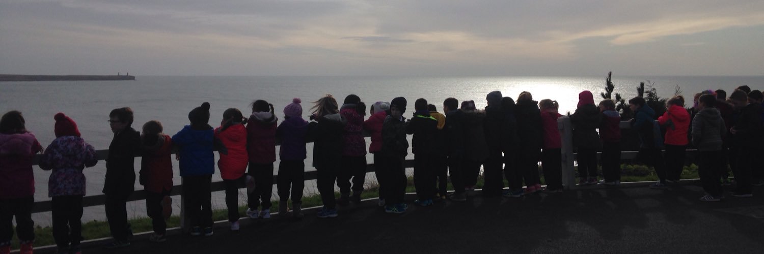 MsDineensClass's profile banner image