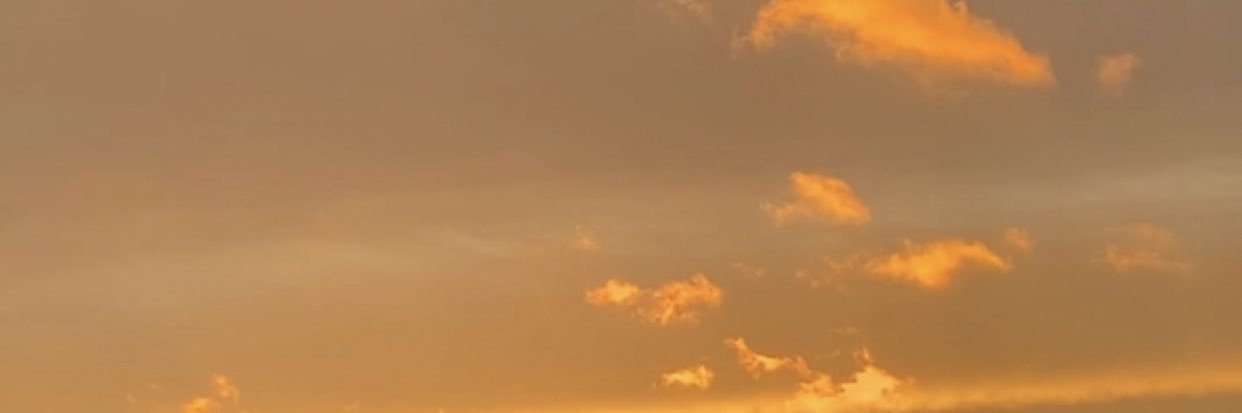 Hammna_Q's profile banner image