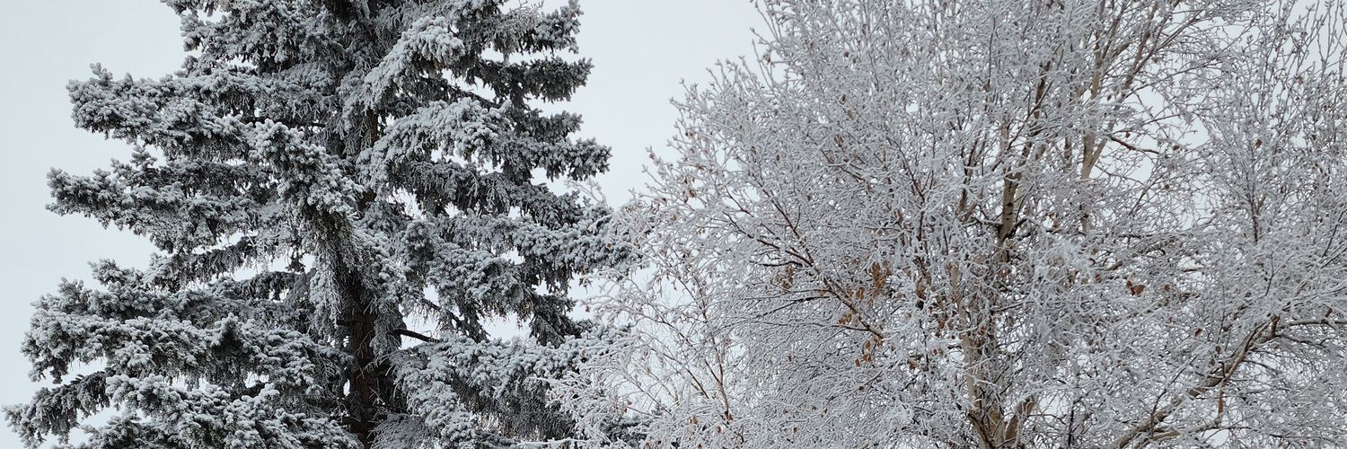 tracers_'s profile banner image