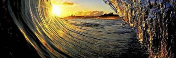 laurariosp Profile Banner