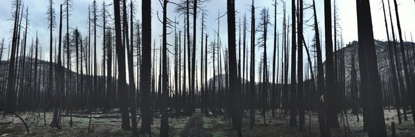 BlakeMadruga Profile Banner