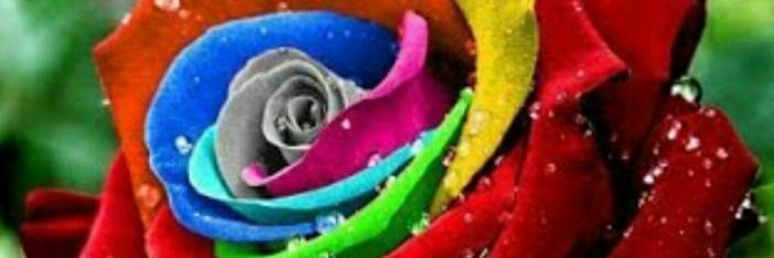 Noona_M2's profile banner image