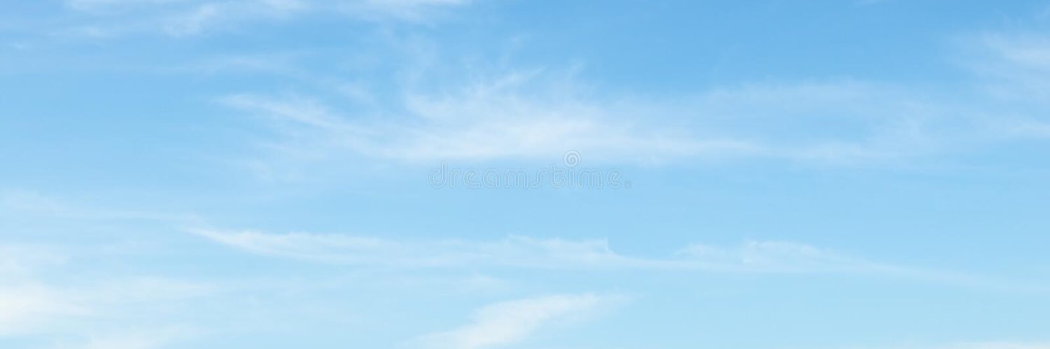 widdikulus's profile banner image