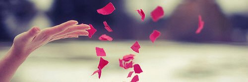 HOLLIEKINACH's profile banner image