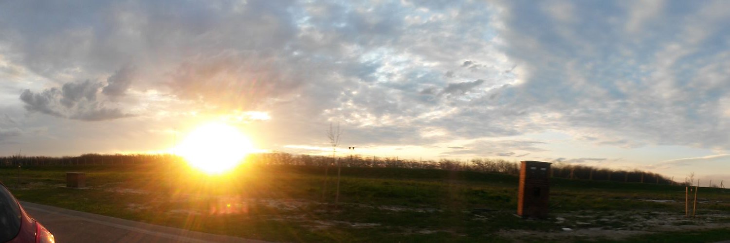 fmarcotrigiano's profile banner image