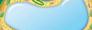 ShopVACuole's profile banner image