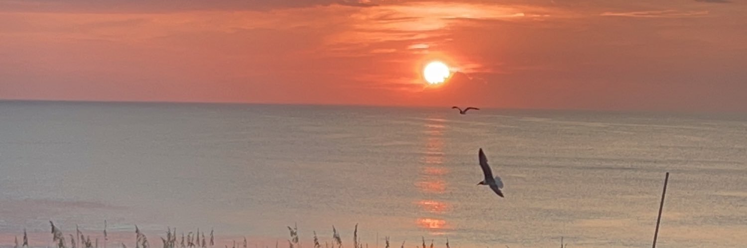 Logankayciee's profile banner image
