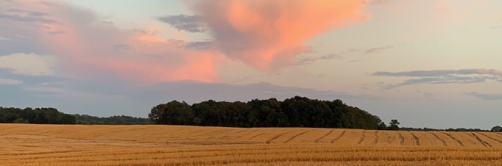 GWThompson17's profile banner image