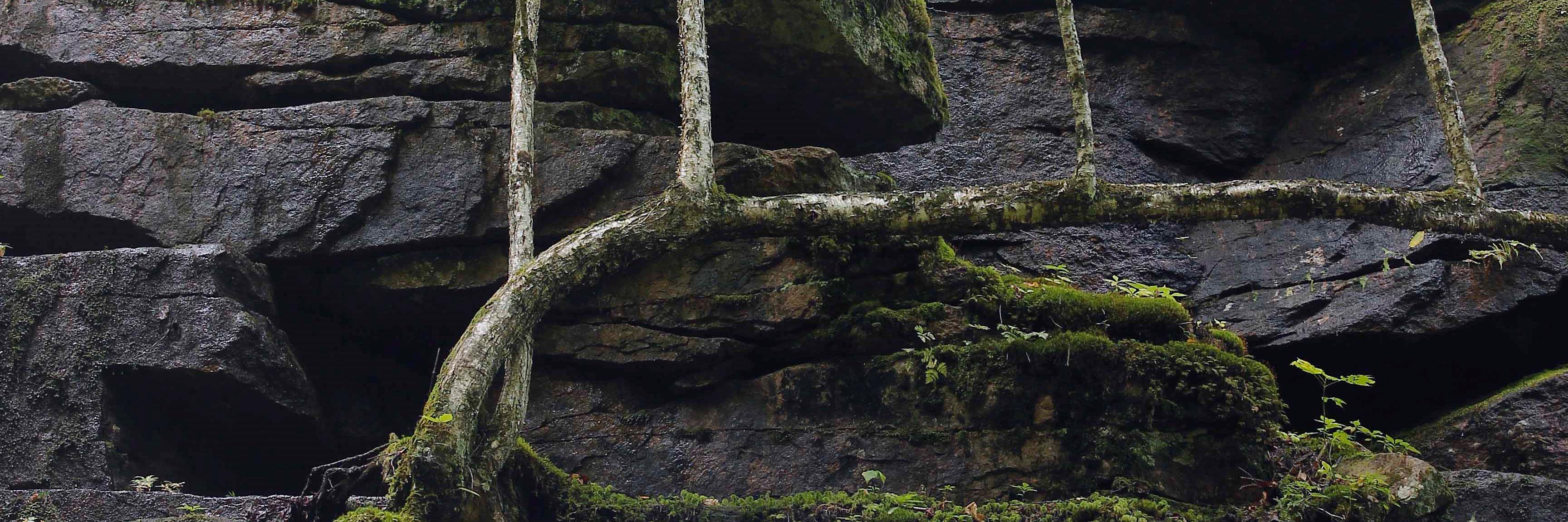 photography_41's profile banner image