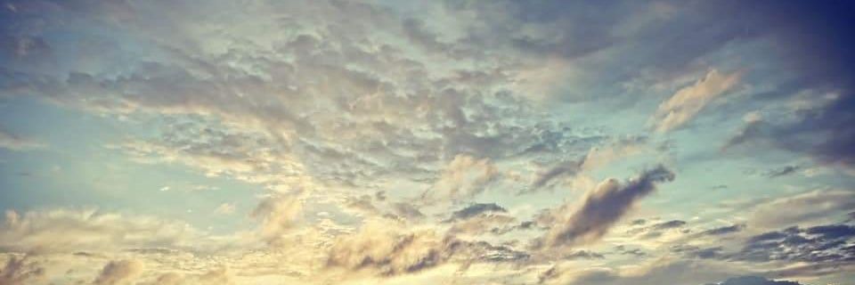 donnaclayPB's profile banner image