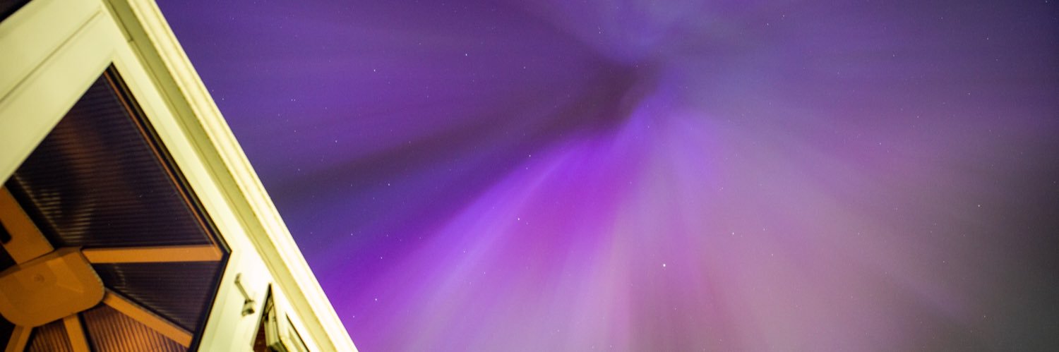 Raymond McCarron Daydreamer banner