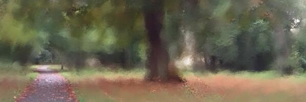 MountMerrionRA Profile Banner