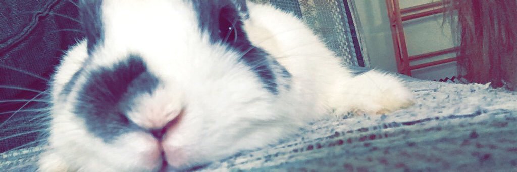 briiixton's profile banner image