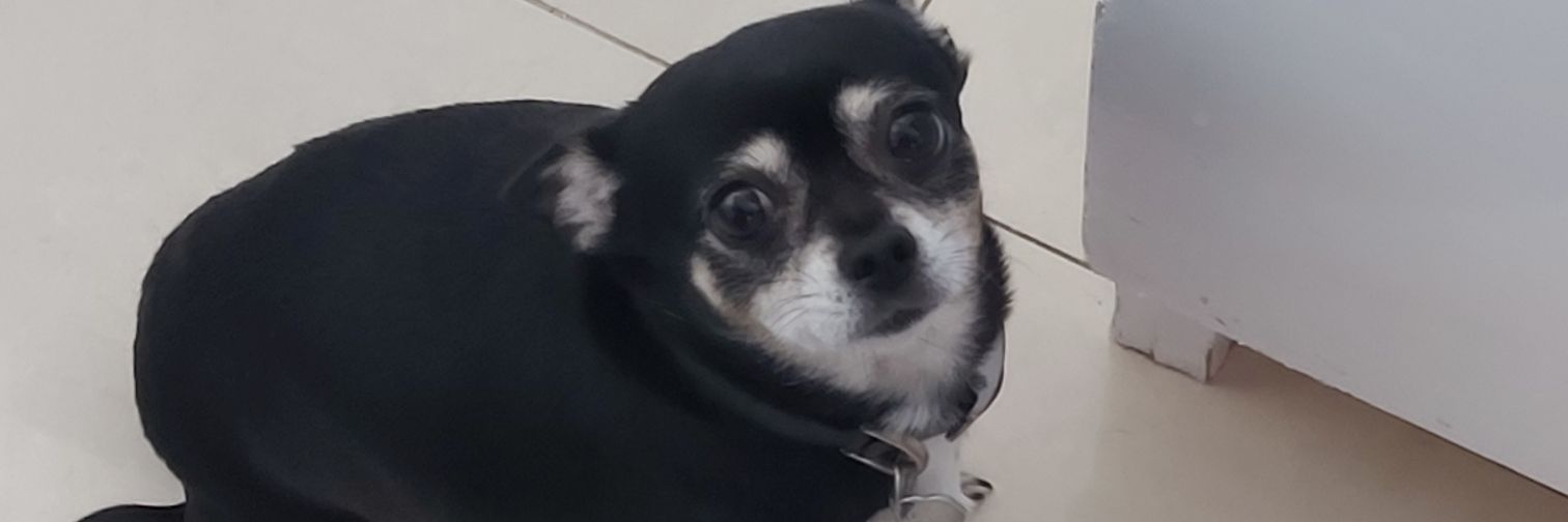 Agent Granata banner