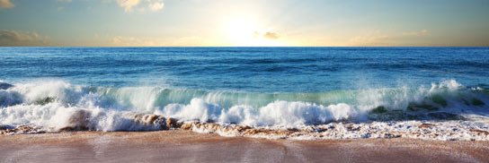 Ocean Peace banner