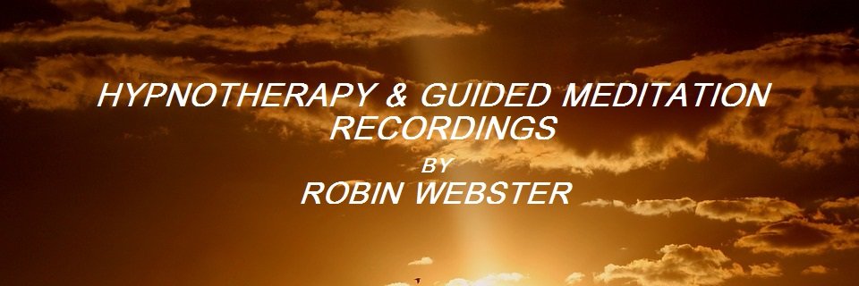 Robin Webster banner