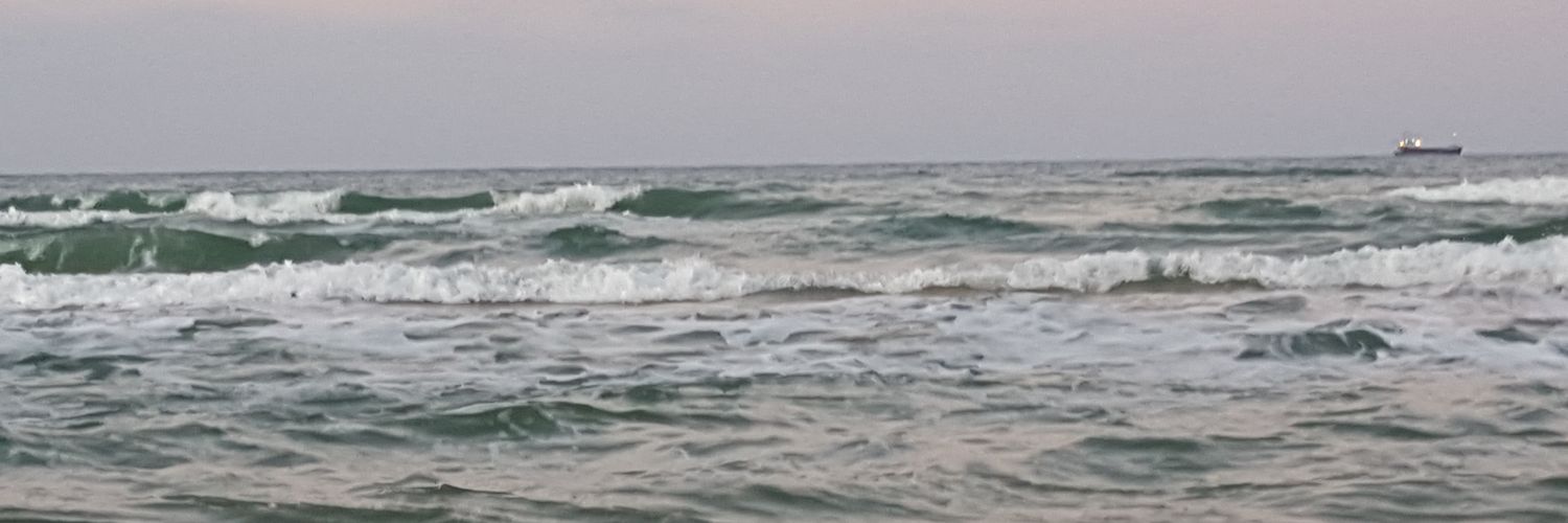 naykraysis's profile banner image