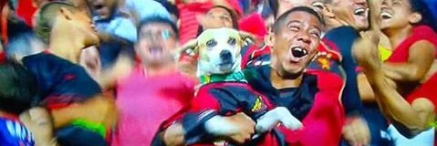 Silverio_Dantas's profile banner image