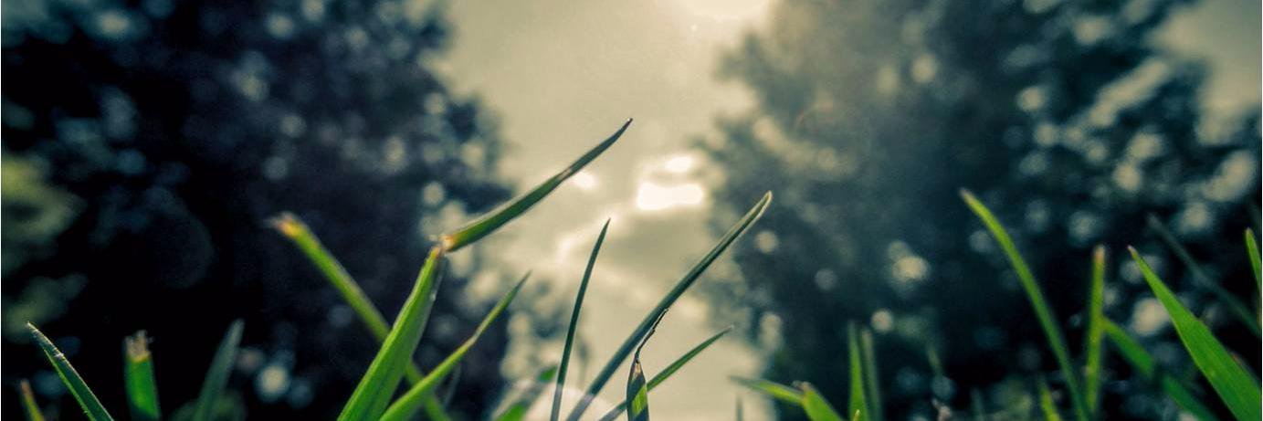 greendiamondllc's profile banner image