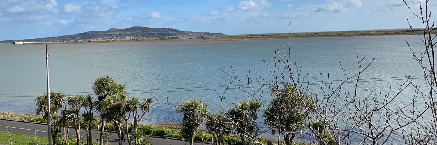 Éanna Ó Brádaigh banner