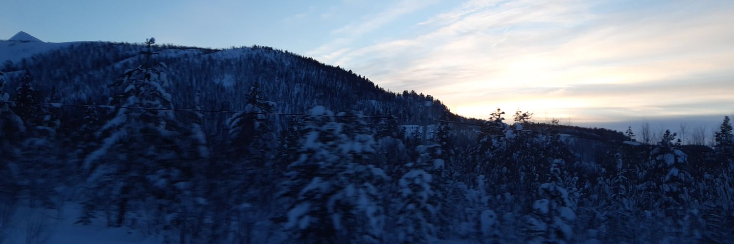 misueu1's profile banner image
