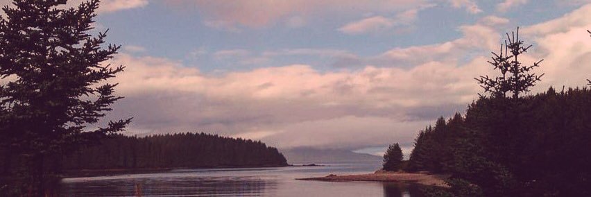 annikaaar's profile banner image