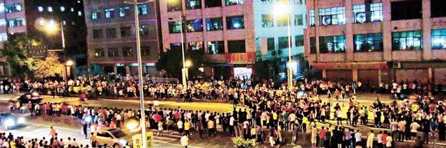 @elifriedman.bsky.social banner