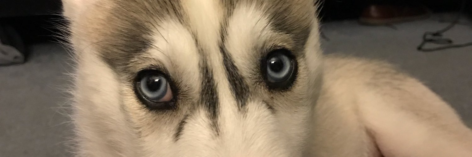 AlekjRodak's profile banner image