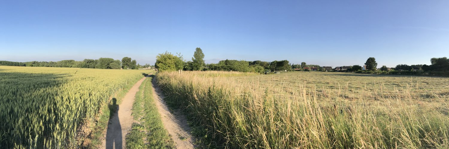 IngeVandeVelde's profile banner image