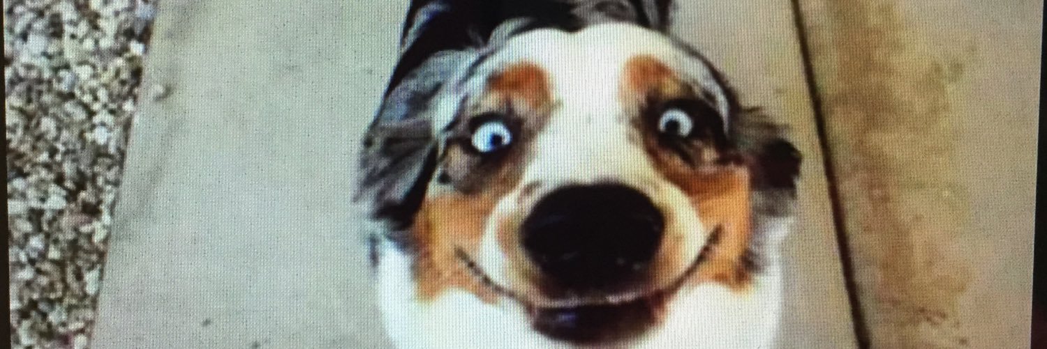 katiefreakingc's profile banner image