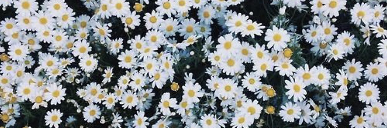 mrsRamirez_'s profile banner image
