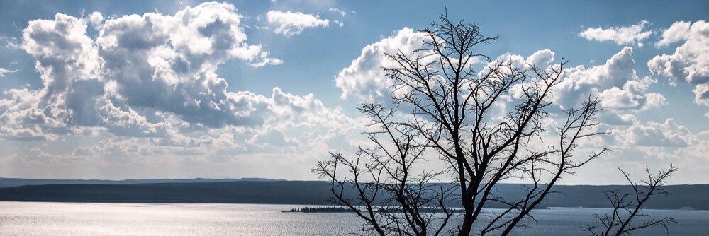 Quant Baby Quant banner