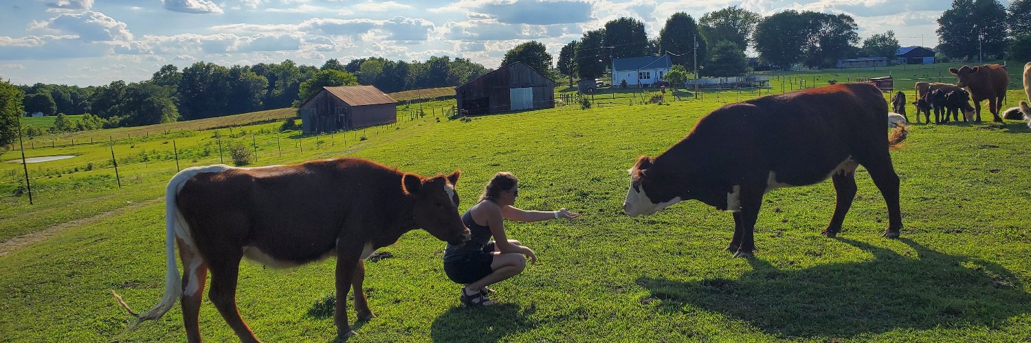 J. Michael Shuffett banner