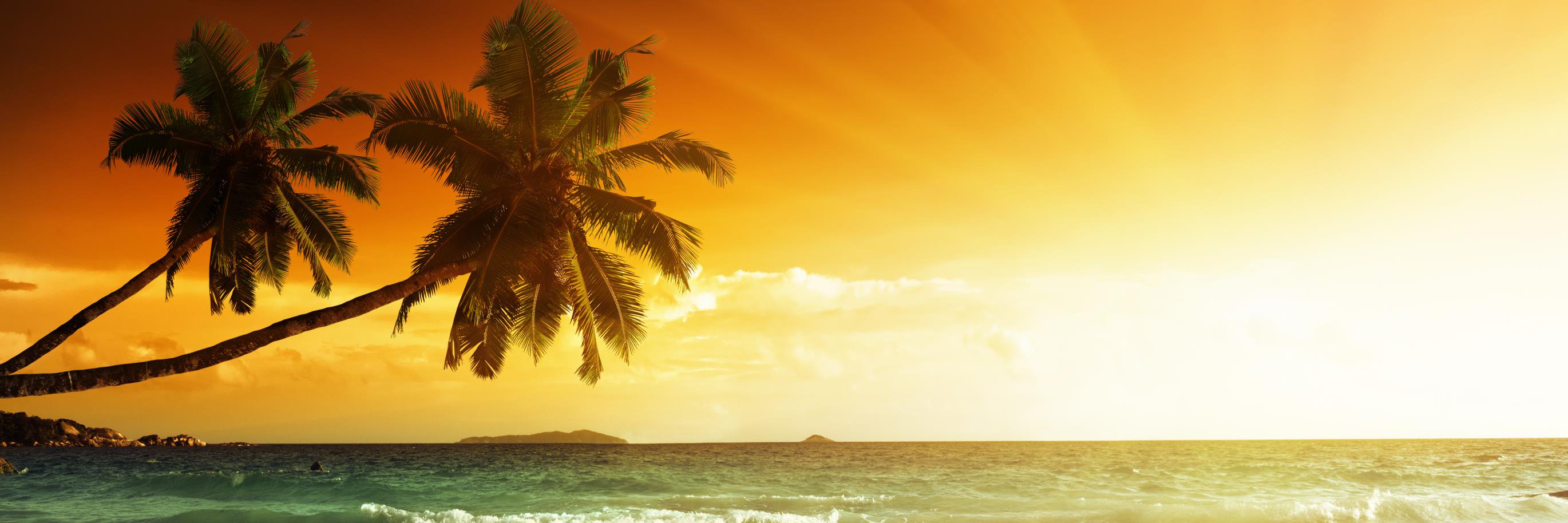 SaltandSunBeard's profile banner image