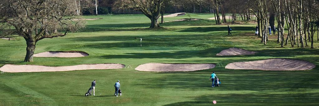 MASHIE Golf banner