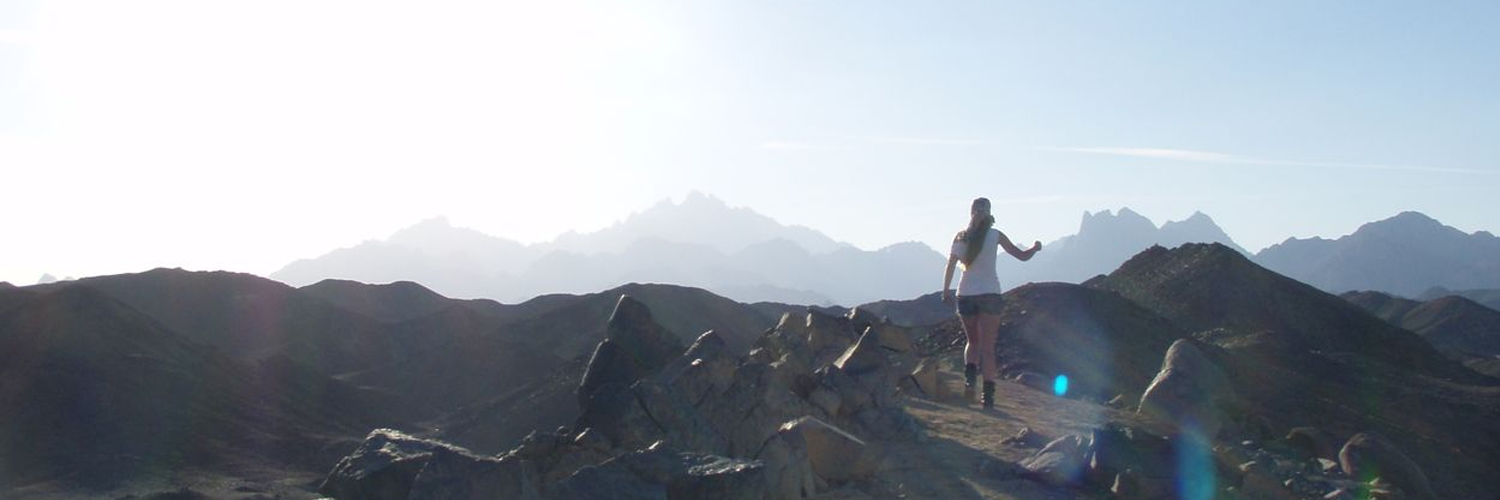 SophieKool's profile banner image