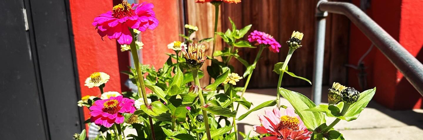 Barrio Speedwagon ElGTSCo banner