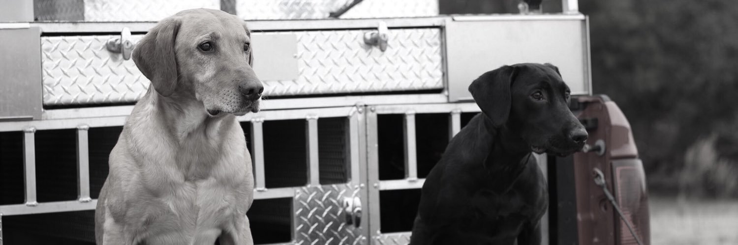 kelley_ian's profile banner image