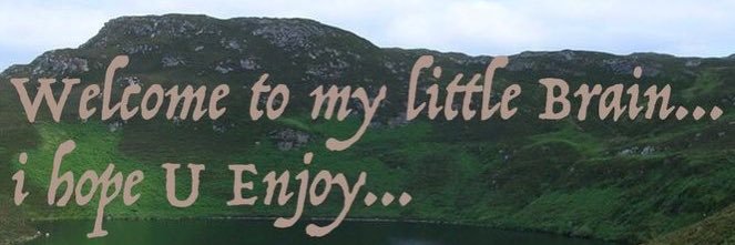 the town baffoon banner