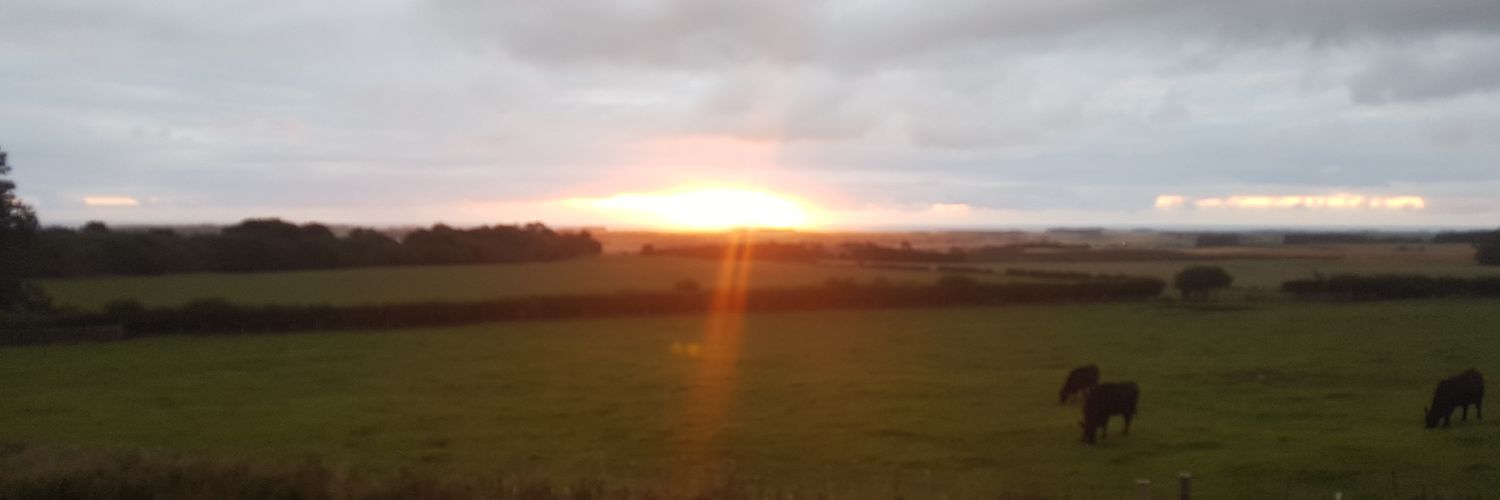 reuben_moore's profile banner image