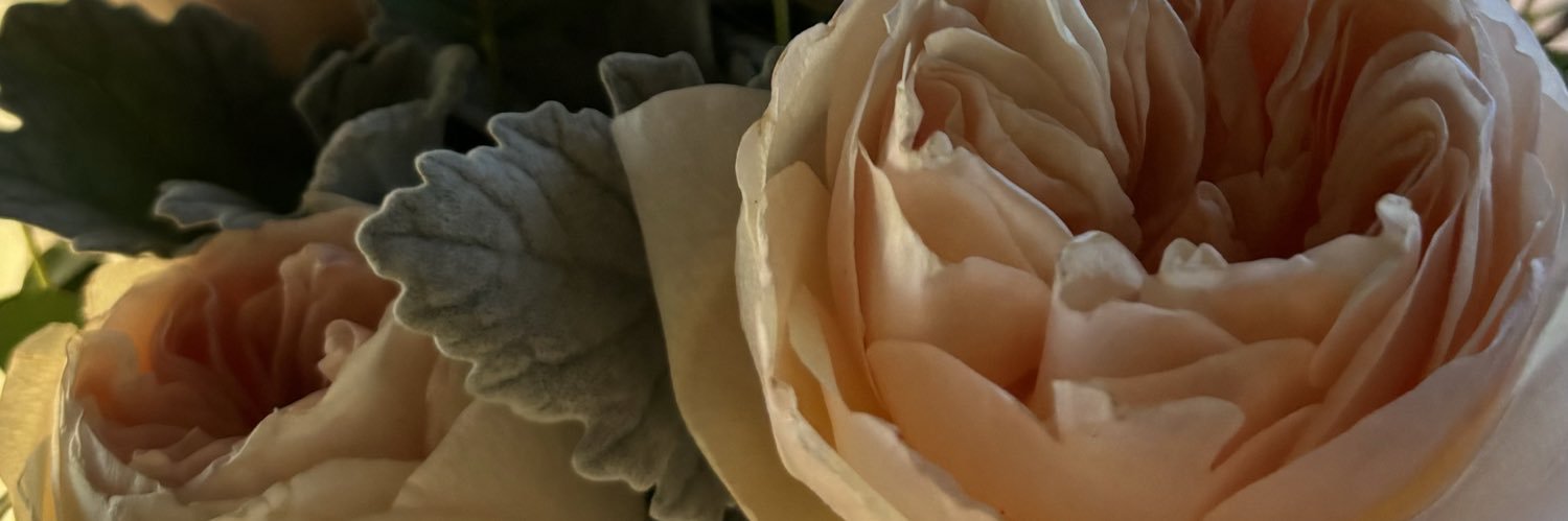 mayecamou's profile banner image