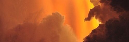 flowereader2301's profile banner image