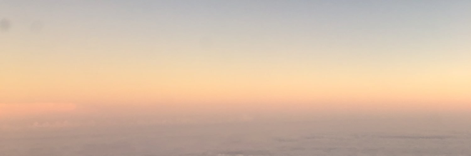 marcjacob's profile banner image