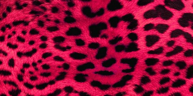 Bizzle_fer's profile banner image