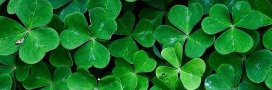 ElJunglass's profile banner image